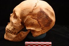 Podobu starých Egypťanů pomáhá odhalit 3D modelování