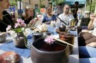 Čajomír First Flush – Festival čaje